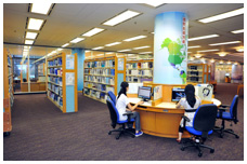 Depository Collections