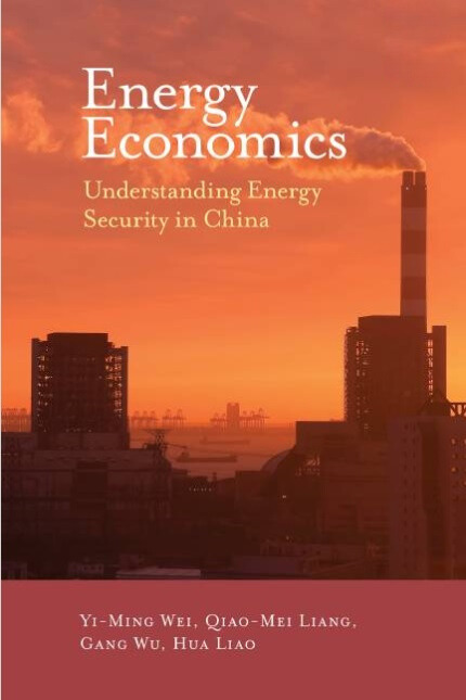 Energy economics: understanding energy security in China