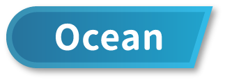 Primary 1-3 Thematic Book List - Ocean