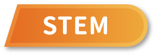 Primary 1-3 Thematic Book List - STEM