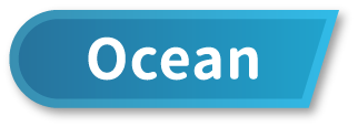 Primary 4-6 Thematic Book List - Ocean