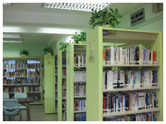 Tai O Public Library ( Small Library )2