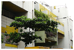 Kowloon City Public Library ( Small Library )1