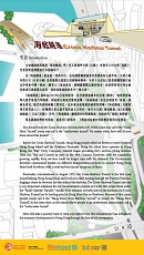 海底隧道 (共9頁)