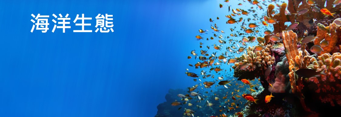 海洋生態