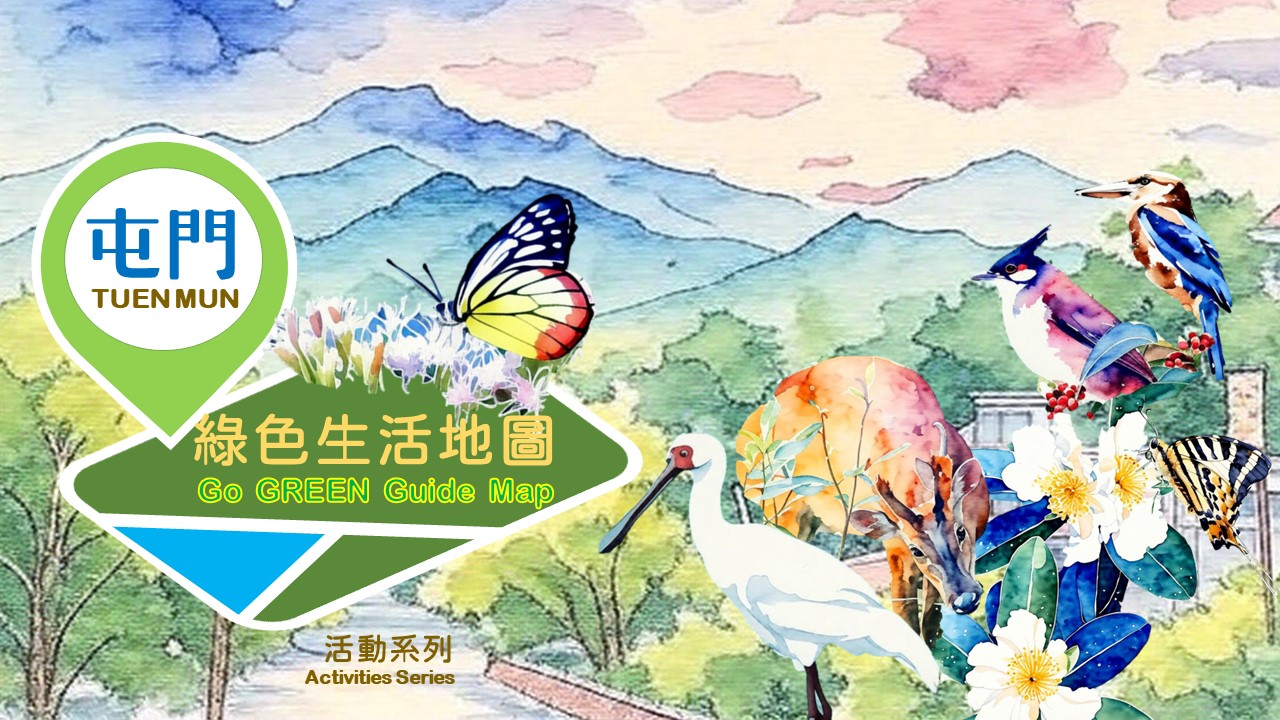 「屯門綠色生活地圖」活動系列──「屯門綠色生活地圖」主題書籍展覽
